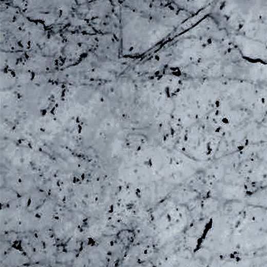 Bianco Carrara Gioia