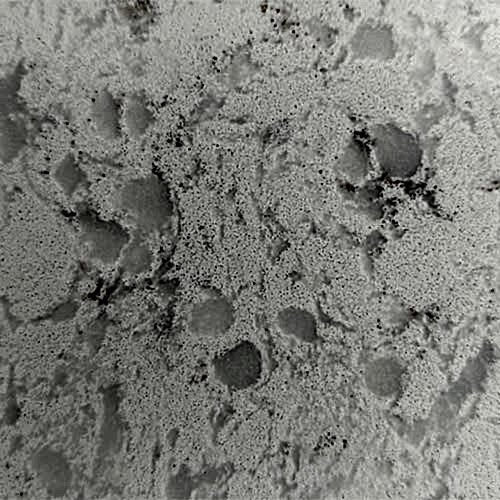 Daphne Crack Belenco