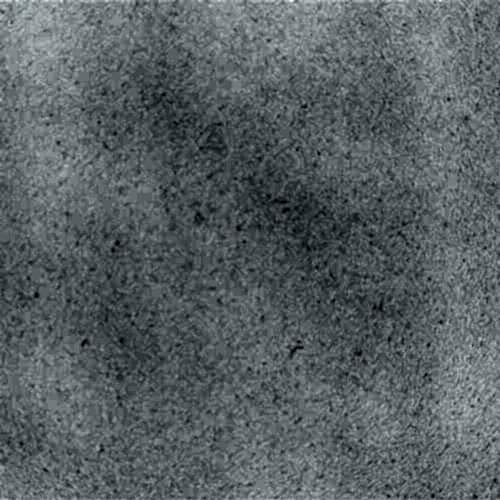 N-Boost Iconic White Silestone