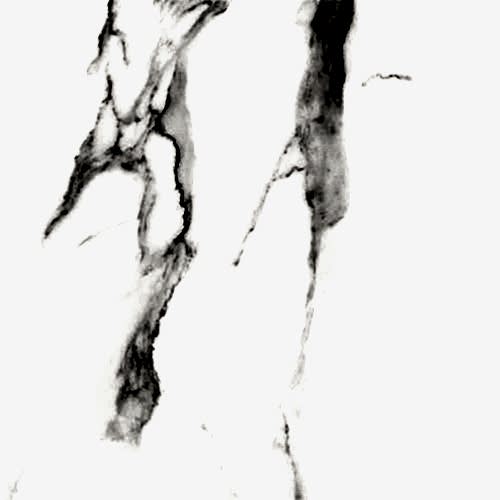 Statuario Elite Lamar