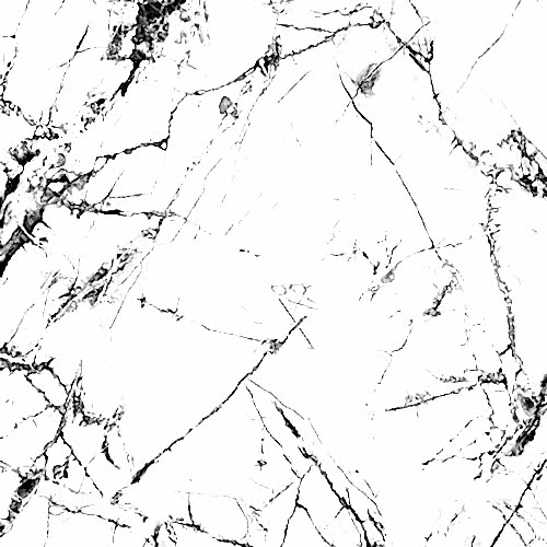 Invisible White Lamar